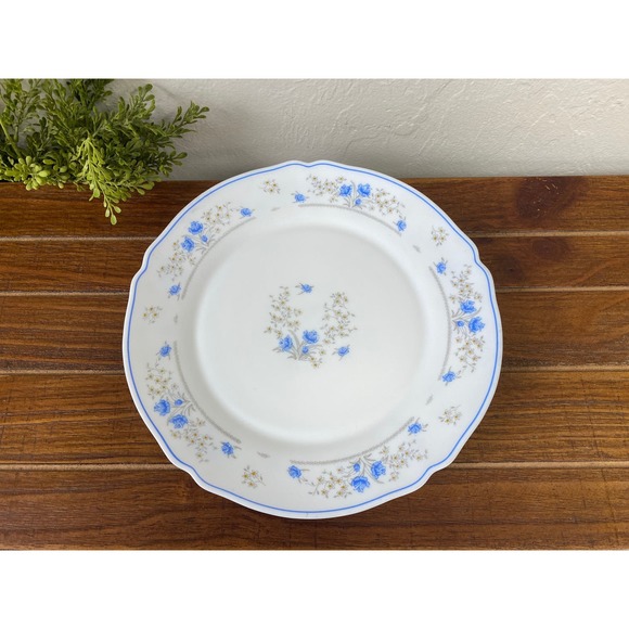 Set of 2 Vintage Romantique by Arcopal Plates - Blue Floral Cottagecore - Picture 2 of 4